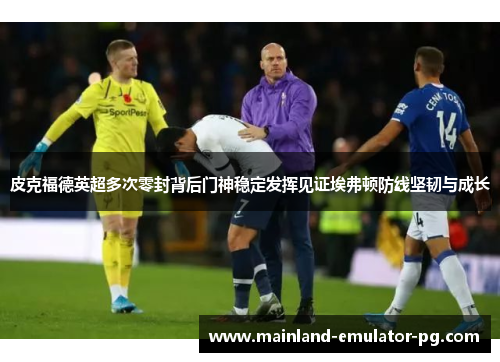 皮克福德英超多次零封背后门神稳定发挥见证埃弗顿防线坚韧与成长