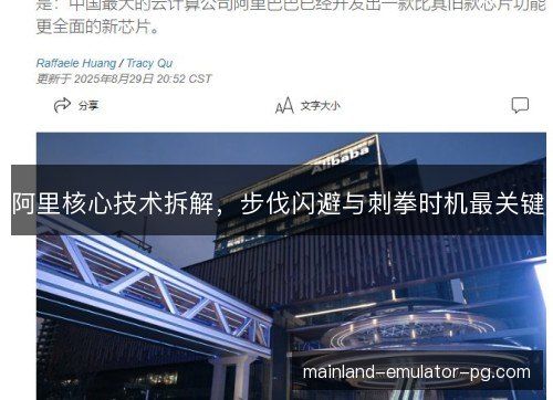阿里核心技术拆解,步伐闪避与刺拳时机最关键 阿里核心技术拆解,步伐闪避与刺拳时机最关键